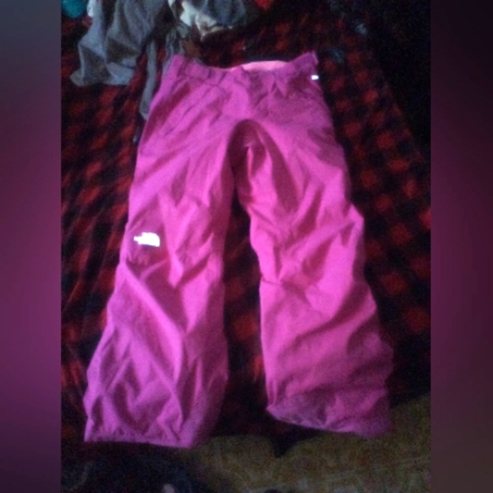 The North Face snow pants